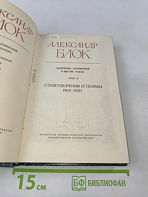 Стихотворения и поэмы 1907-1921. Том 2