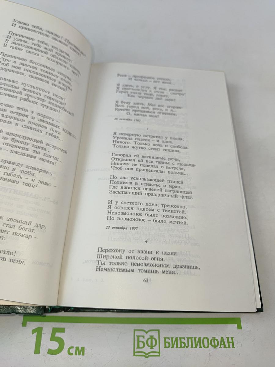 Стихотворения и поэмы 1907-1921. Том 2
