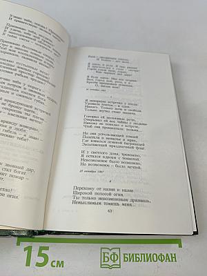 Стихотворения и поэмы 1907-1921. Том 2