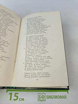 Стихотворения и поэмы 1907-1921. Том 2