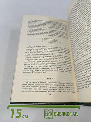 Стихотворения и поэмы 1907-1921. Том 2