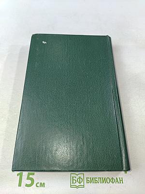 Стихотворения и поэмы 1907-1921. Том 2