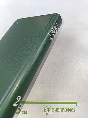 Стихотворения и поэмы 1907-1921. Том 2