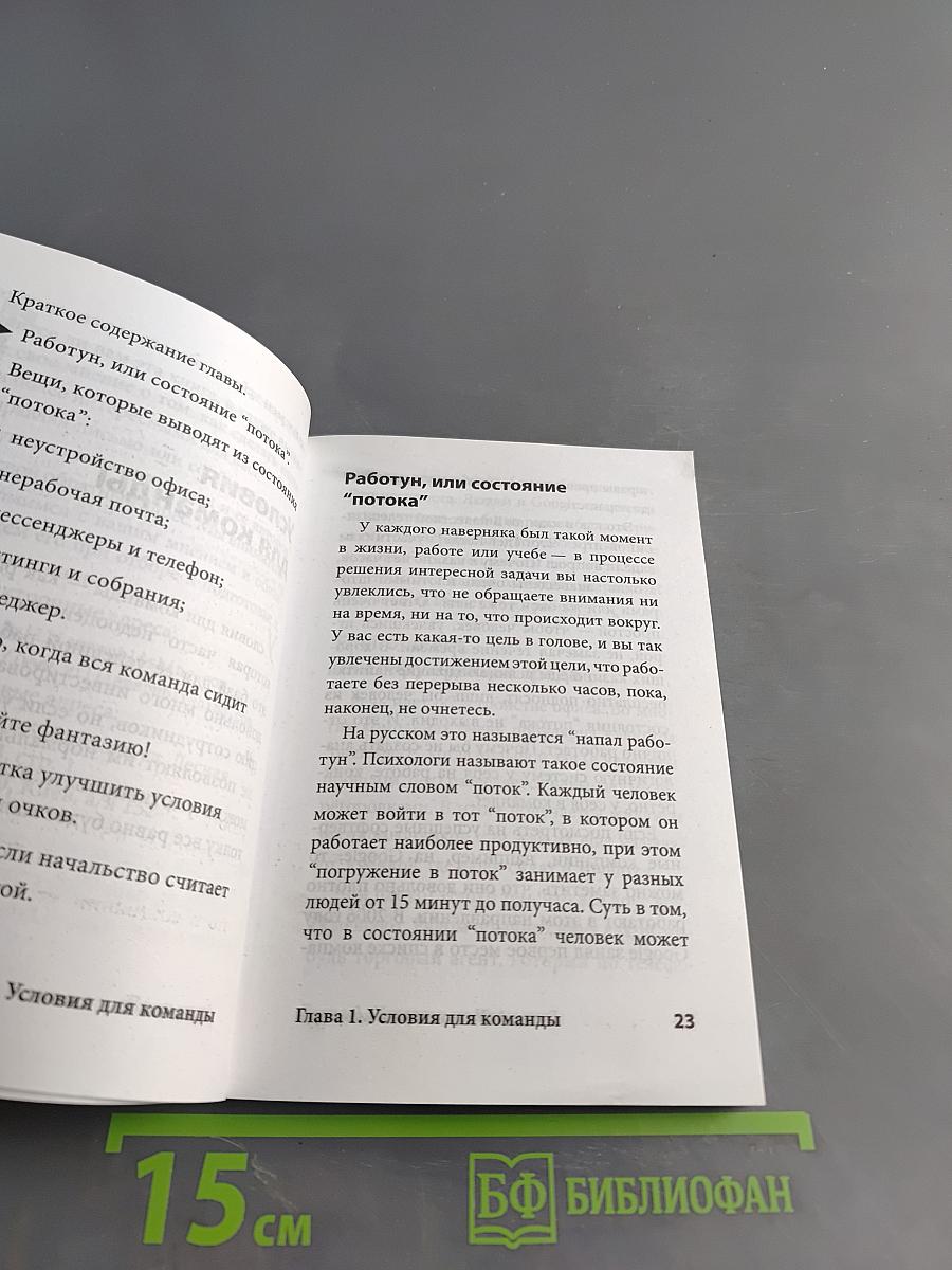 Секреты управления программистами