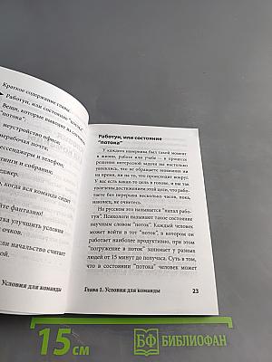 Секреты управления программистами