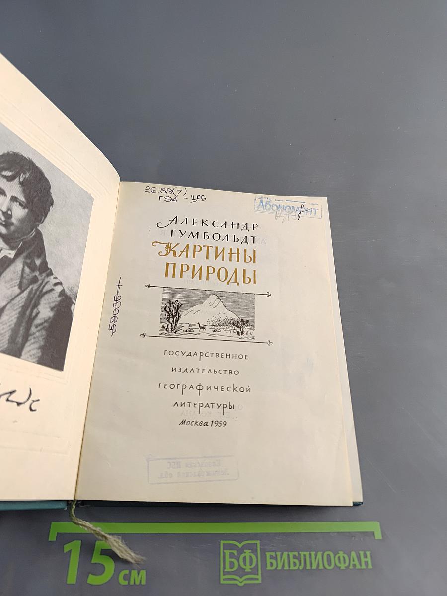 Картины природы
