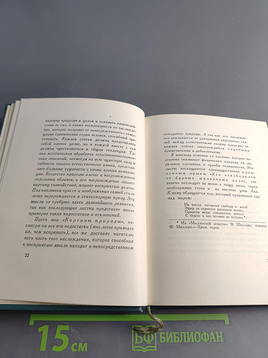 Картины природы