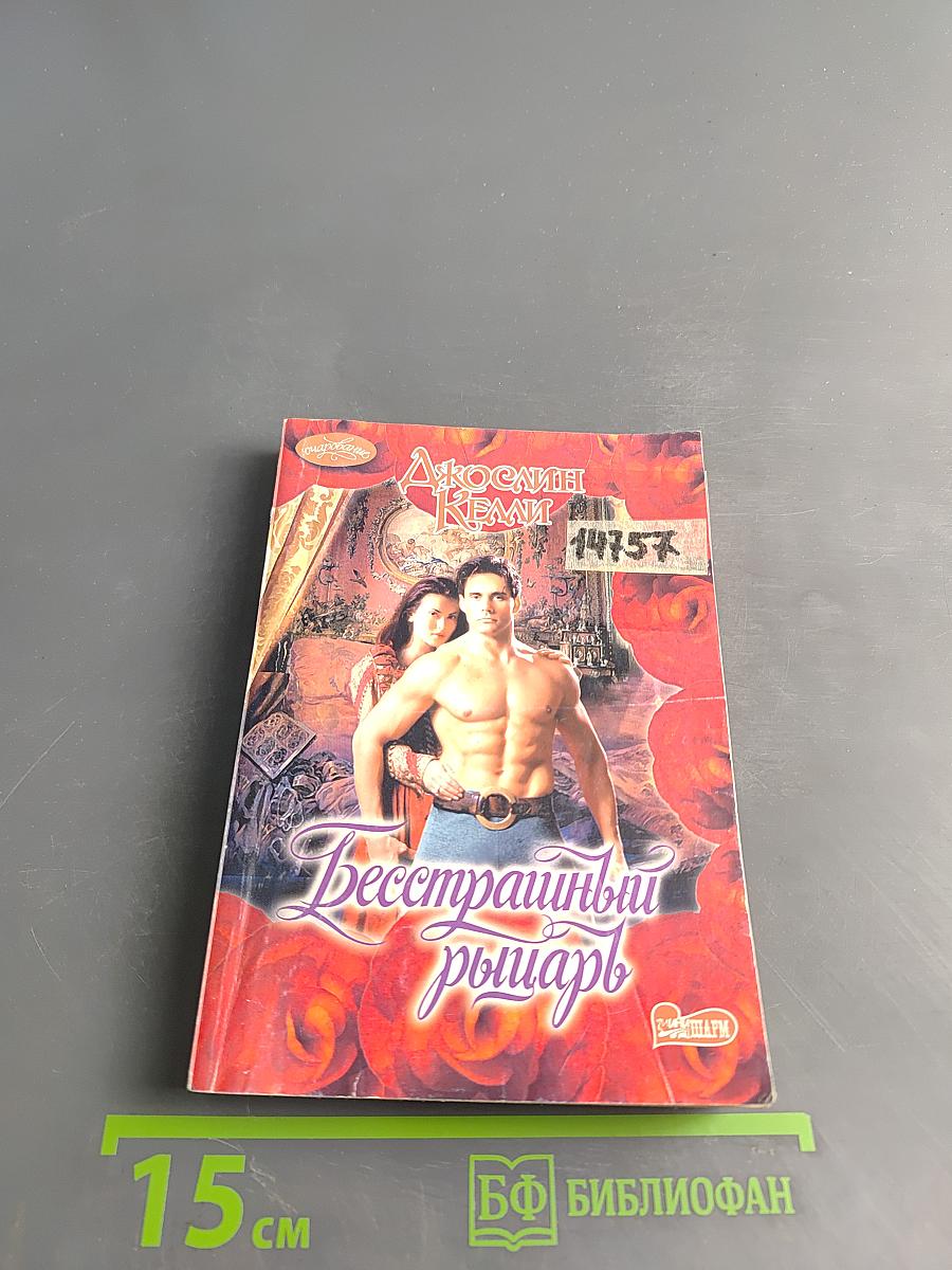 Бесстрашный рыцарь