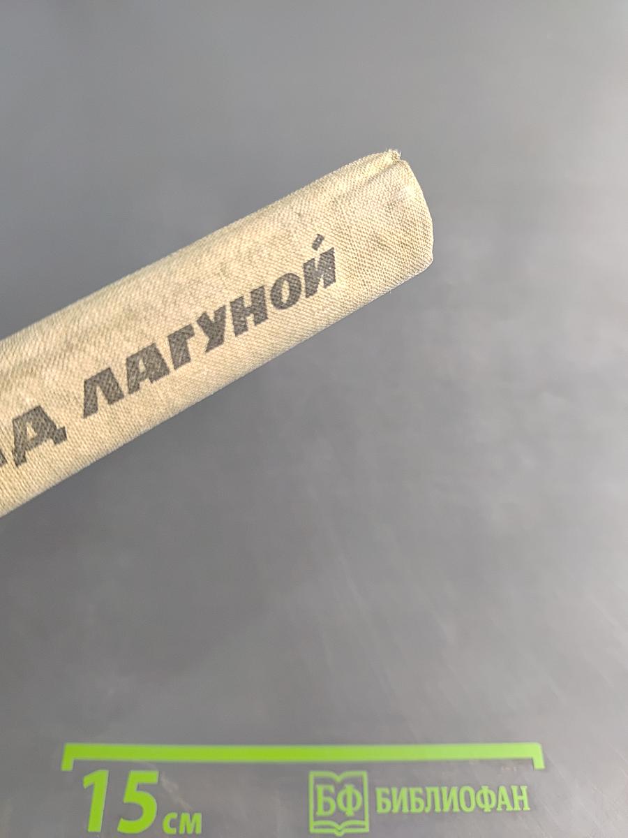Гроза над Лагуной