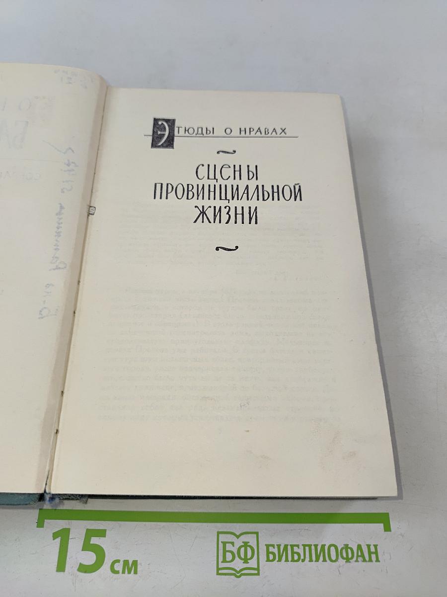 Человеческая комедия. Сцены провинциальной жизни. Том 7