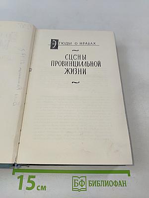 Человеческая комедия. Сцены провинциальной жизни. Том 7