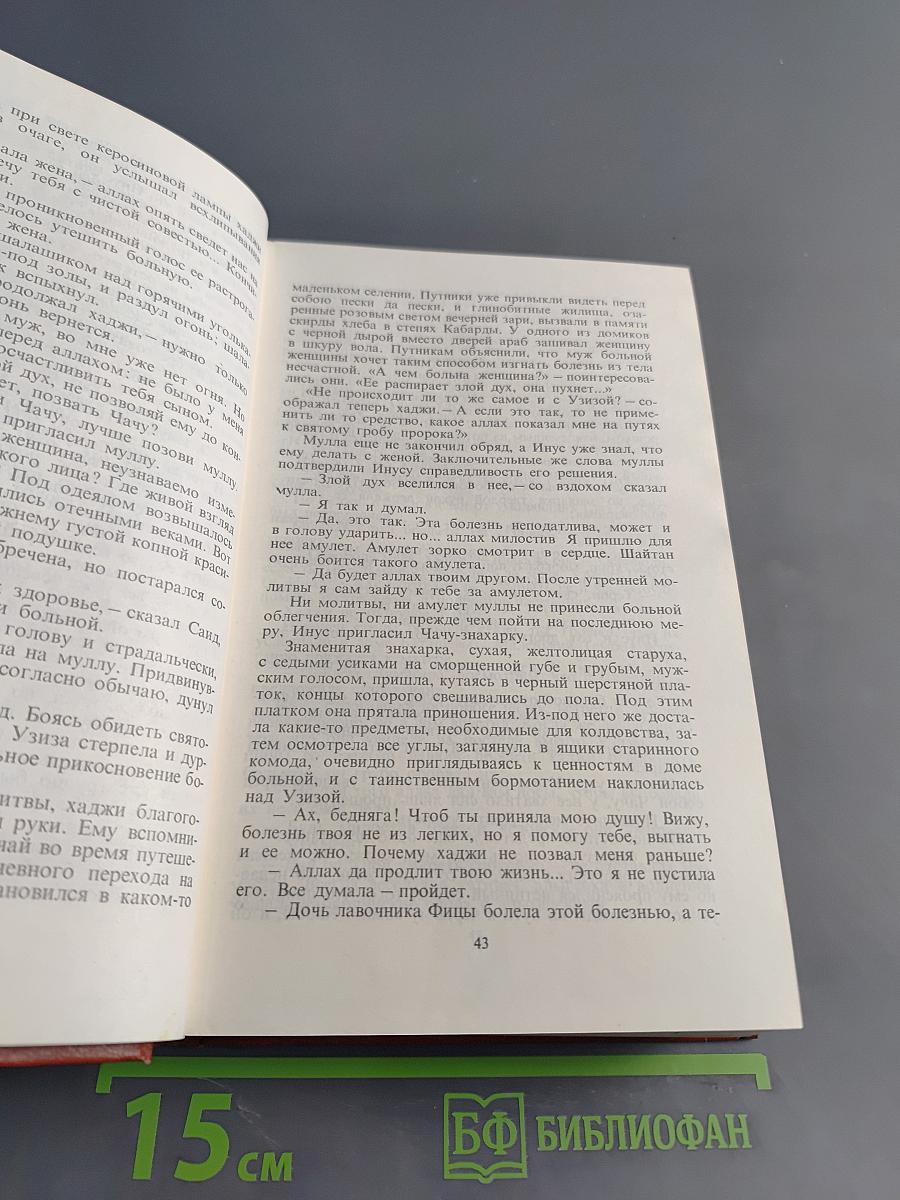 Вершины не спят. Роман в двух книгах. Том 1