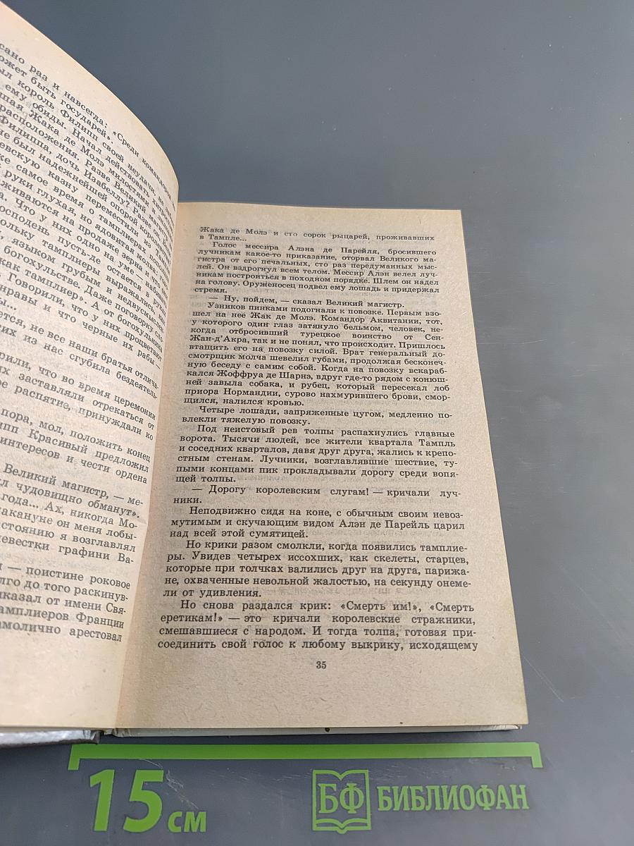 Железный король. Узница Шато-Гайара