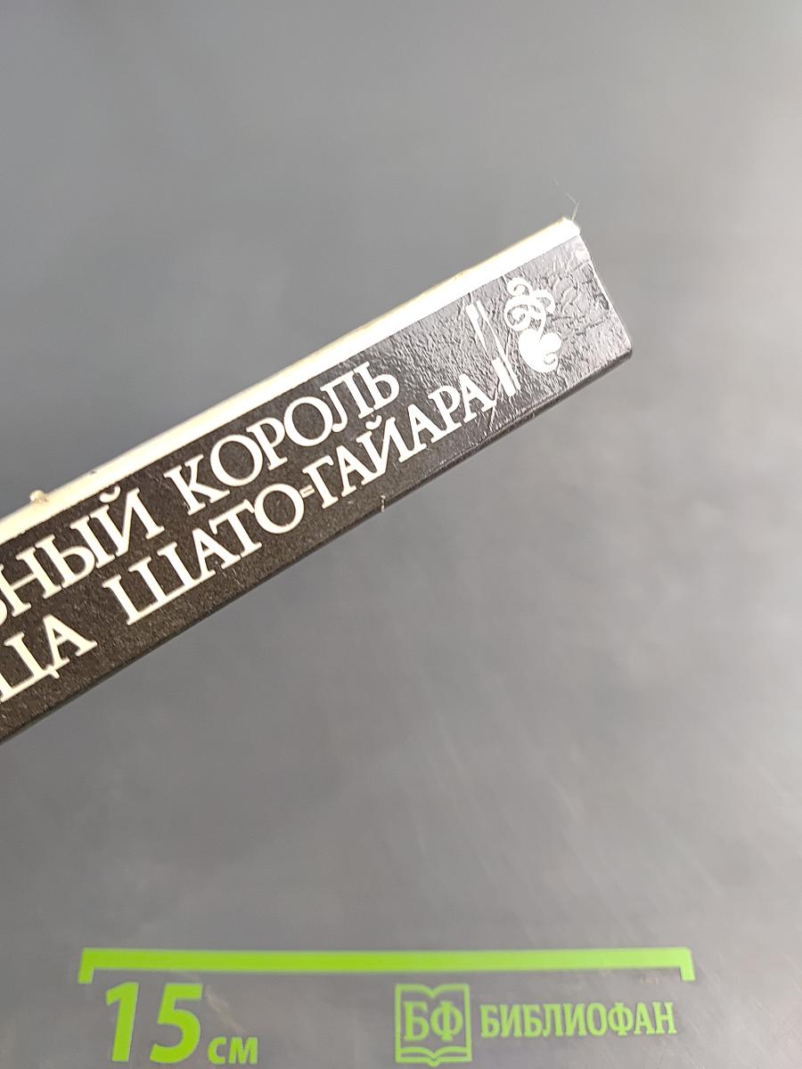 Железный король. Узница Шато-Гайара