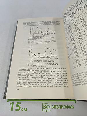 Проблема эпилепсии