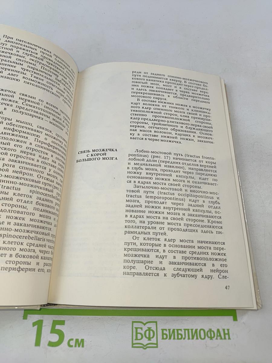 Атлас топической диагностики заболеваний нервной системы