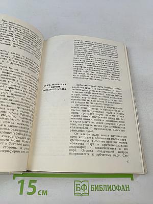 Атлас топической диагностики заболеваний нервной системы