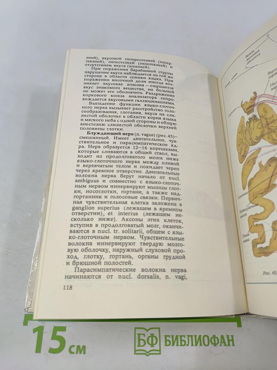 Атлас топической диагностики заболеваний нервной системы