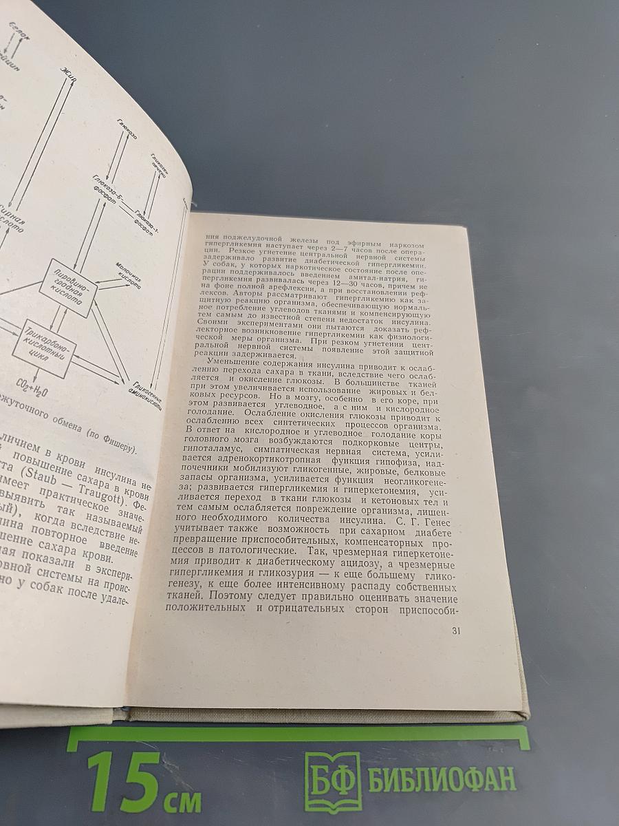 Сахарный диабет у детей