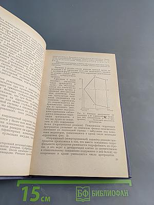 Очерки клинической патофизиологии туберкулеза