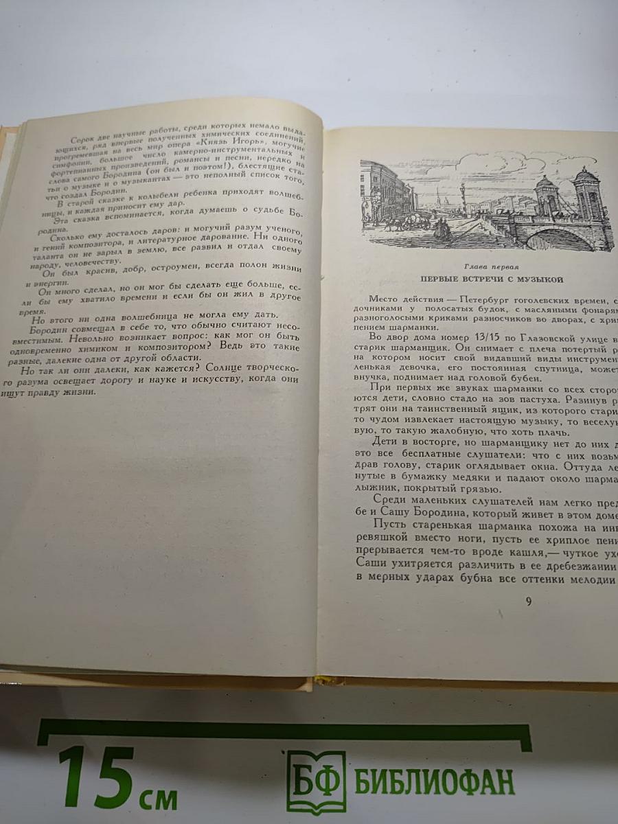 Александр Порфирьевич Бородин. Письма
