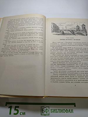Александр Порфирьевич Бородин. Письма