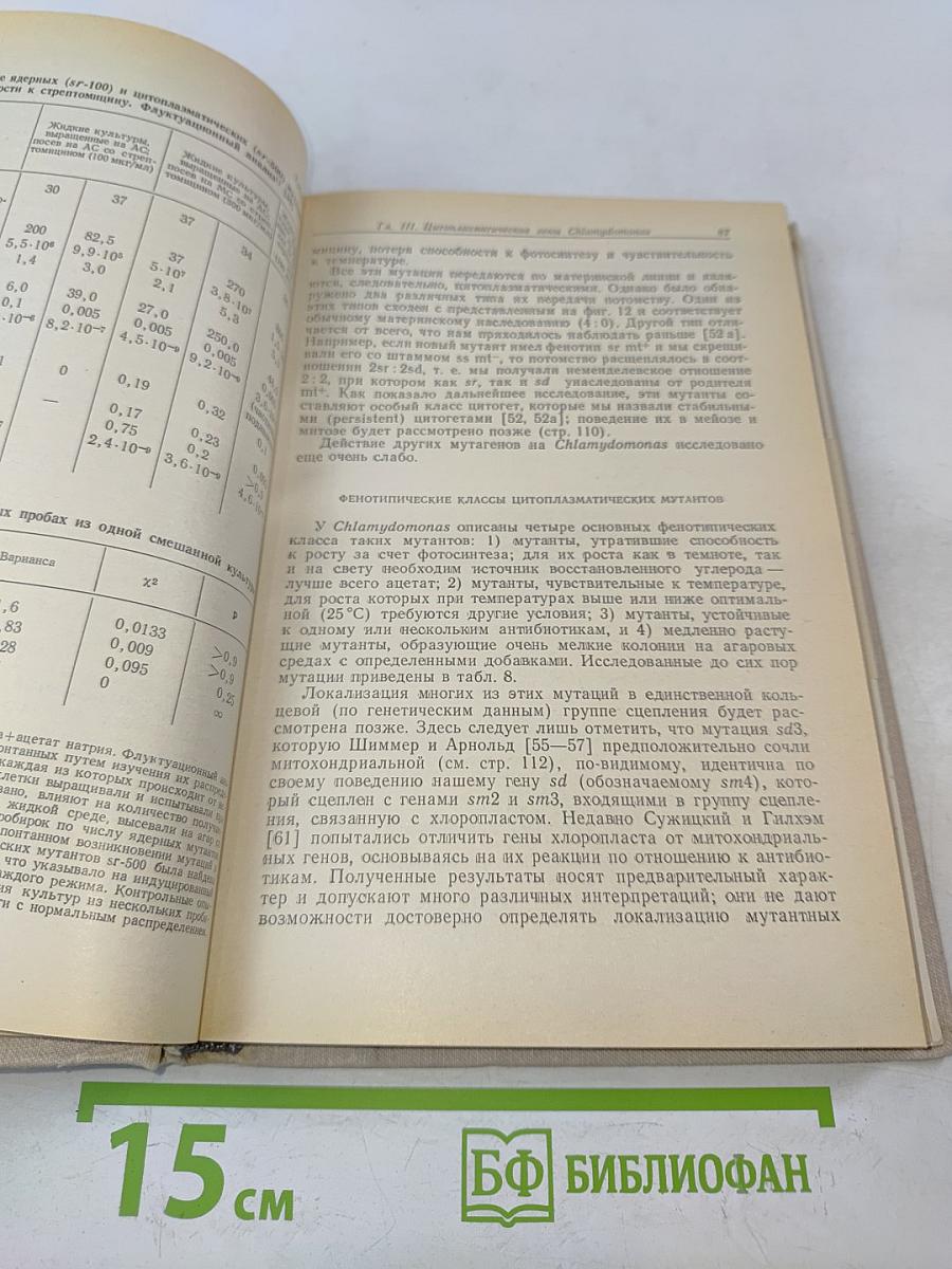 Цитоплазматические гены и органеллы