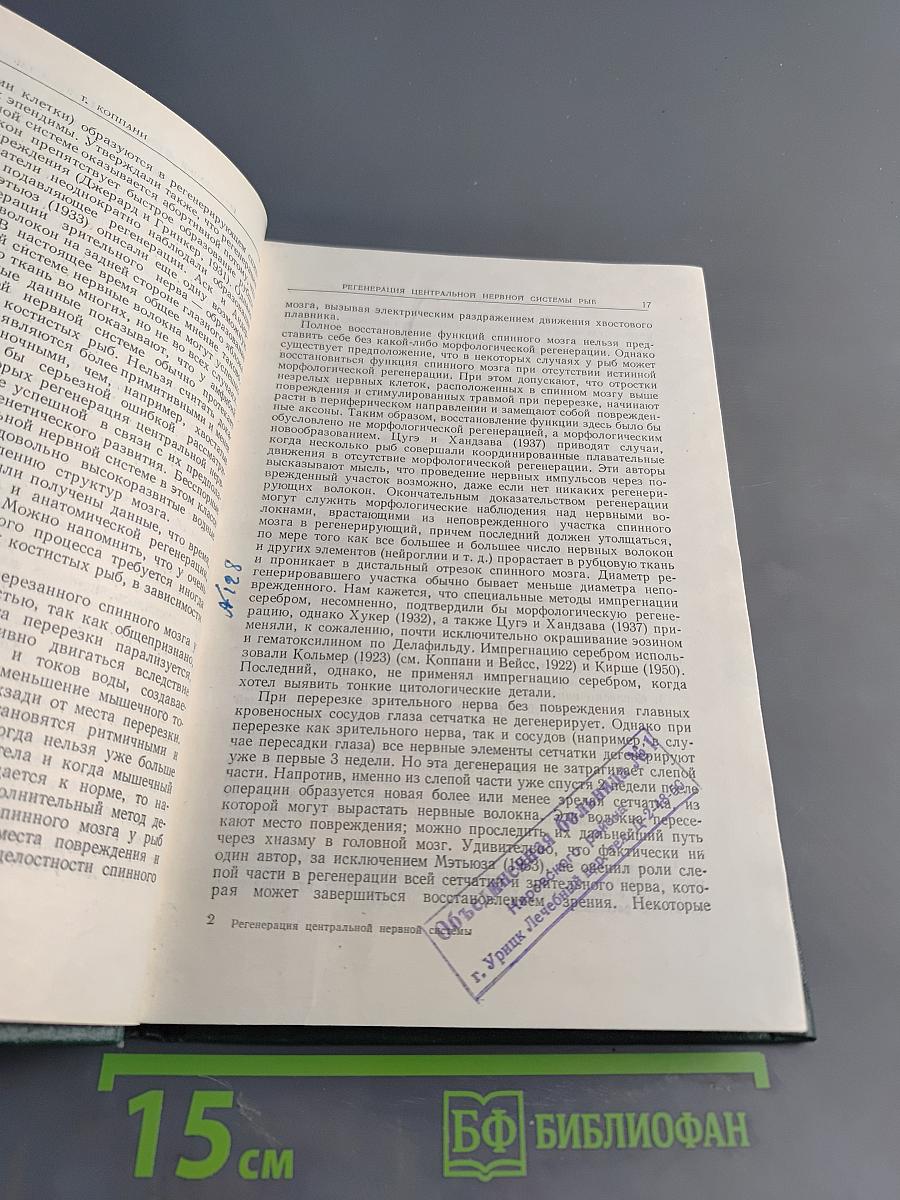 Регенерация центральной нервной системы