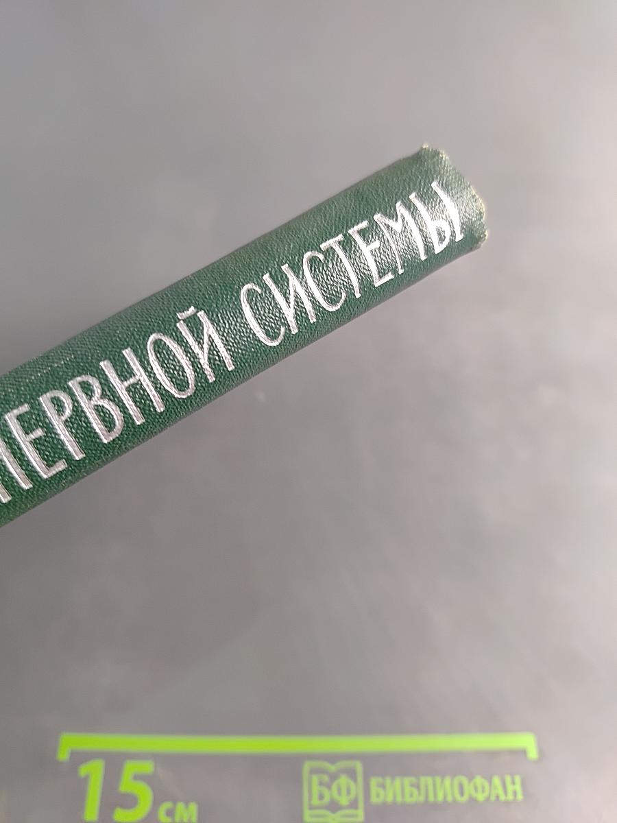 Регенерация центральной нервной системы