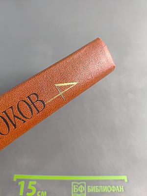 Стихотворения и поэмы. Том 4
