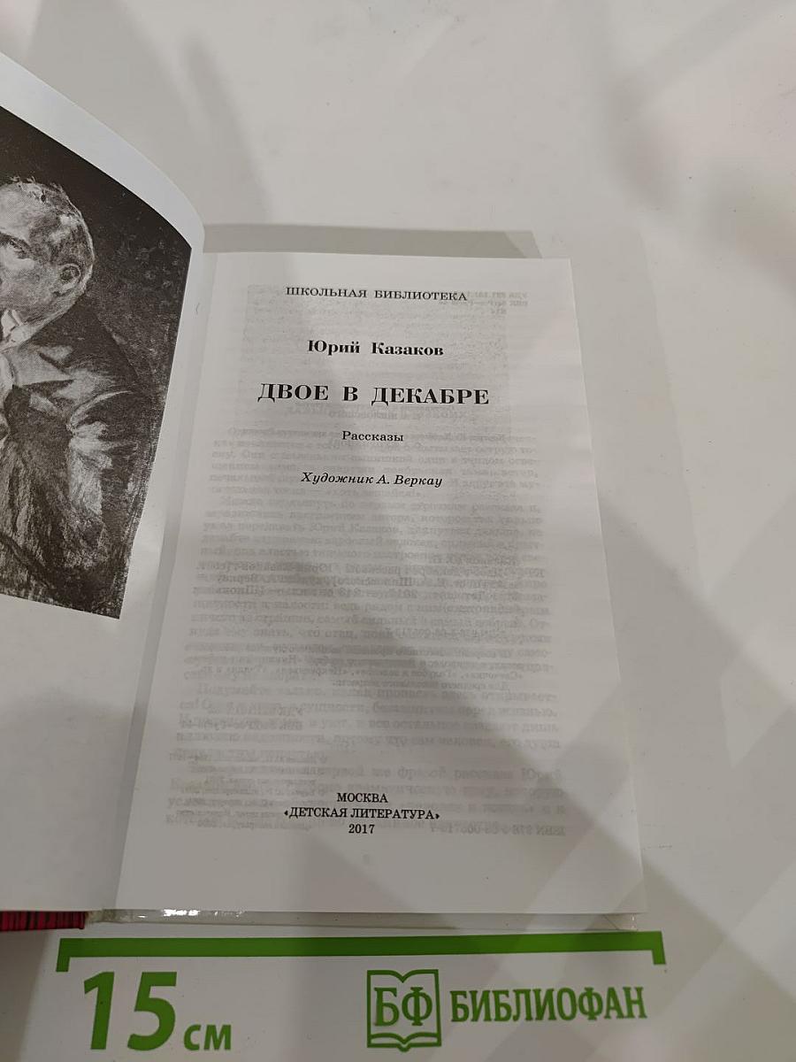 Двое в декабре