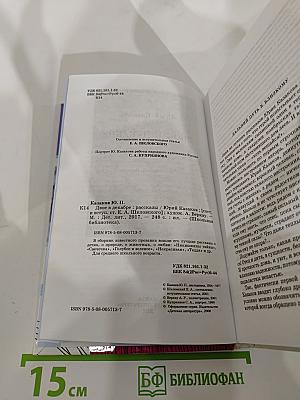 Двое в декабре