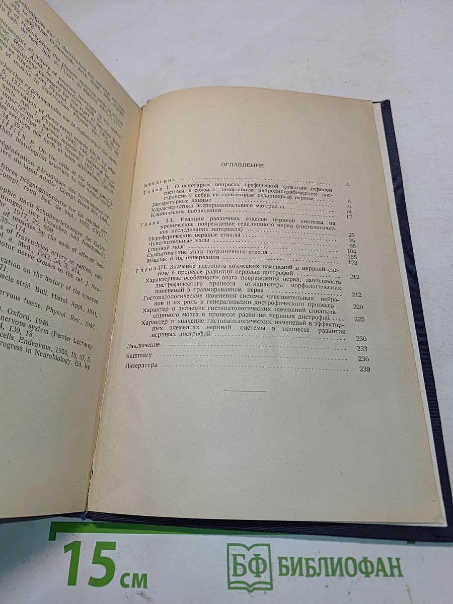 Реакция нервной системы организма на хроническое повреждение периферического нерва (Экспериментально-морфологическое исследование)
