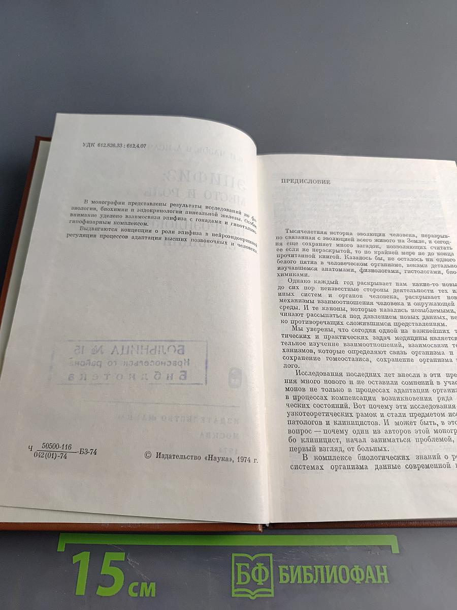 Эпифиз: место и роль в системе нейроэндокринной регуляции