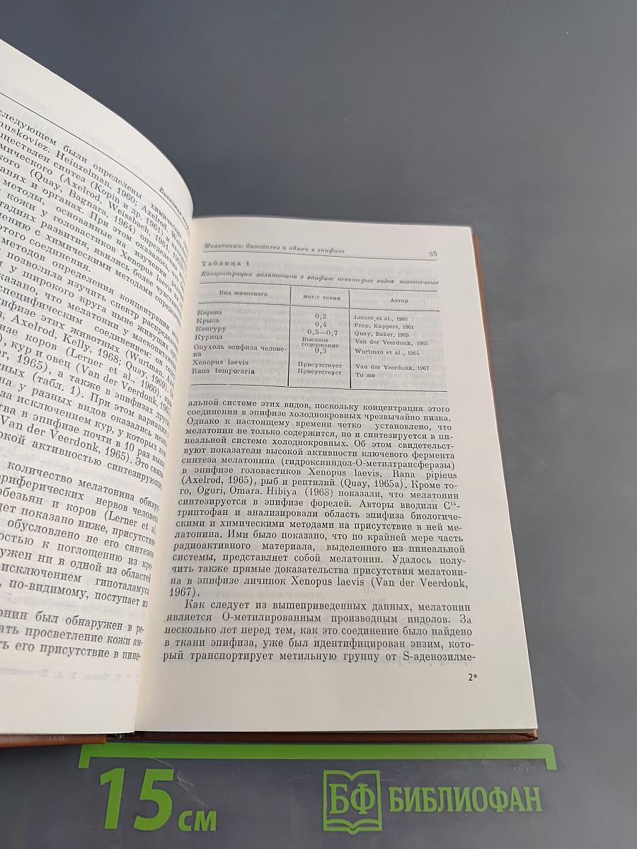 Эпифиз: место и роль в системе нейроэндокринной регуляции