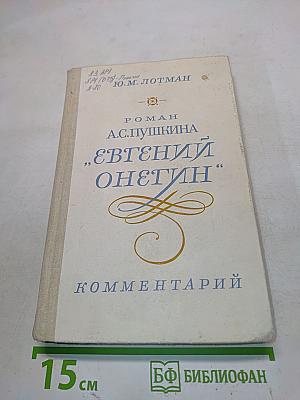 Евгений Онегин. Роман. Комментарий