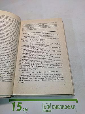Евгений Онегин. Роман. Комментарий