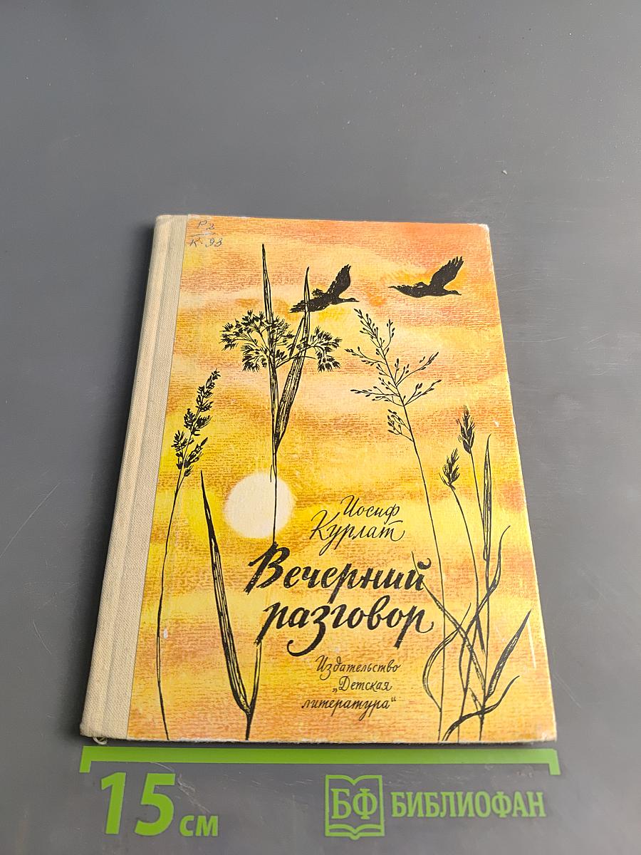 Вечерний разговор
