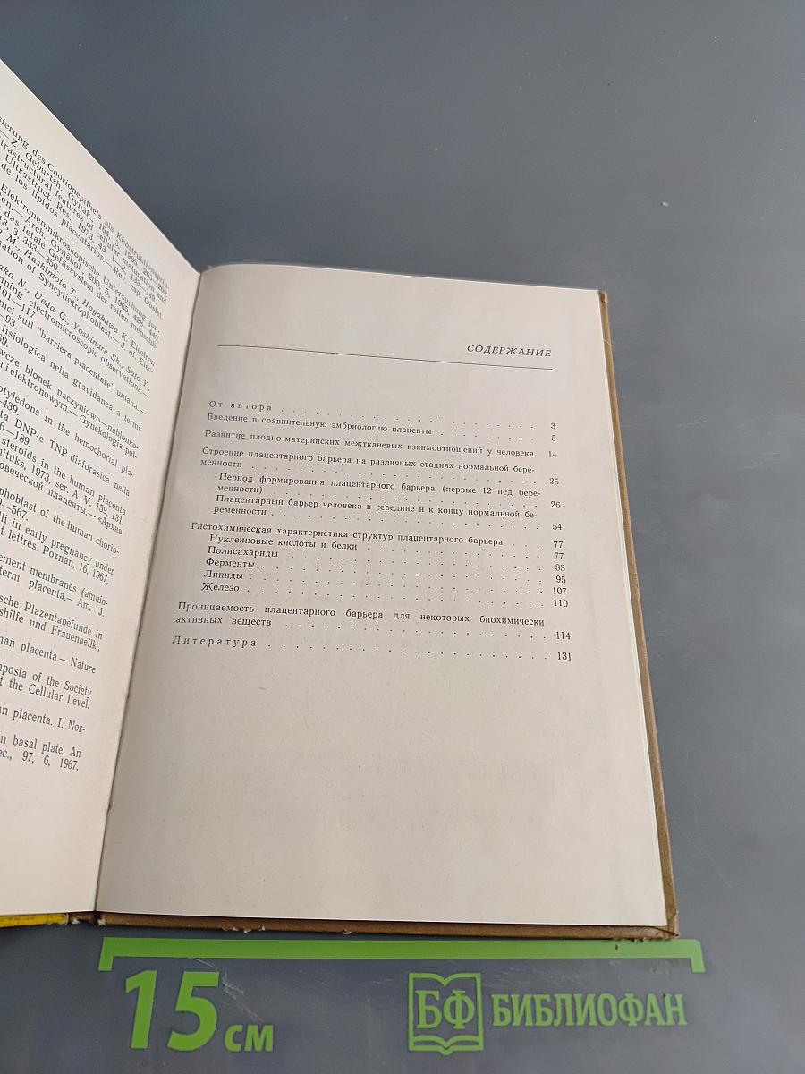Функциональная морфология плацентарного барьера человека
