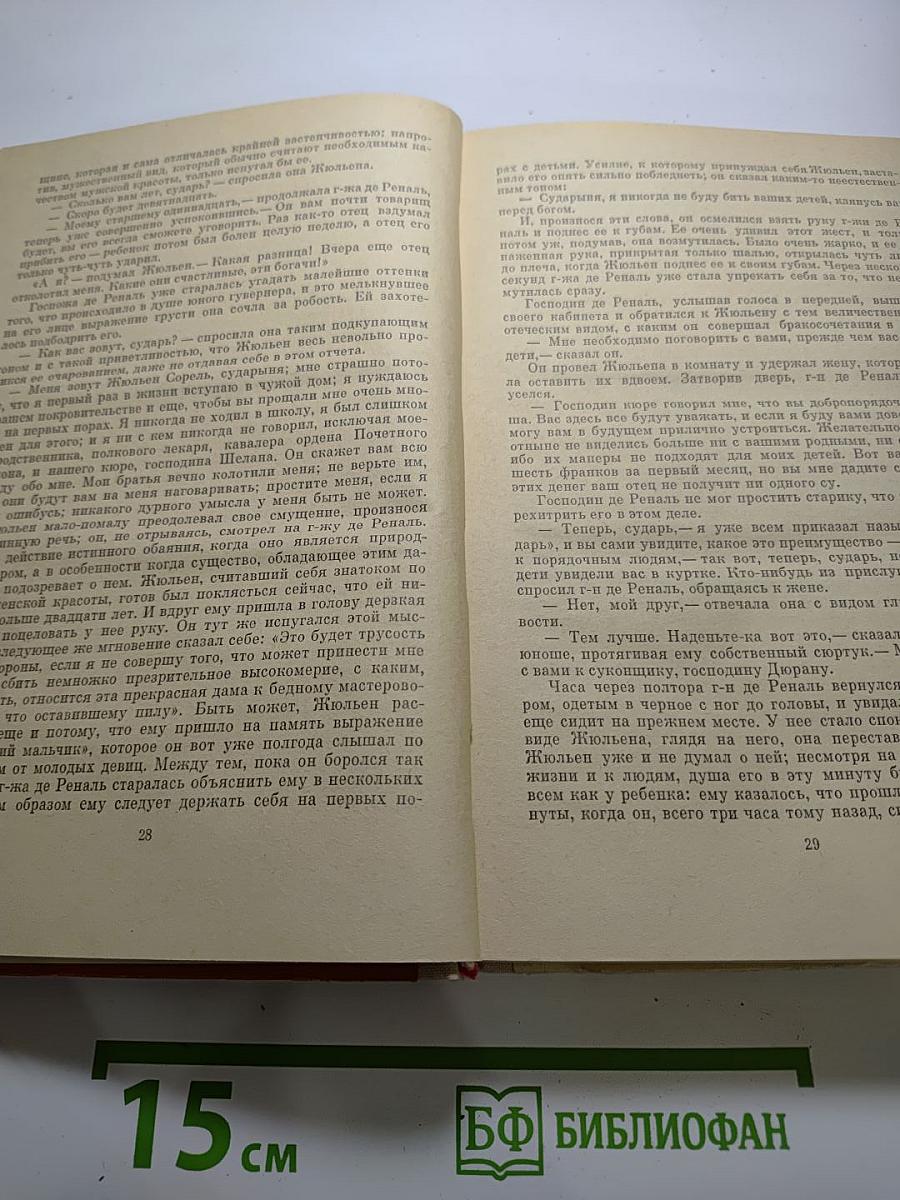 Красное и черное. Хроника XIX века