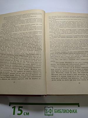 Красное и черное. Хроника XIX века