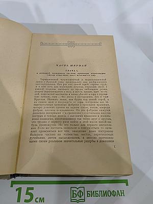 Романы. Том 2