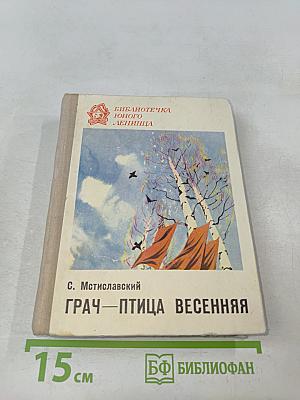 Грач — птица весенняя