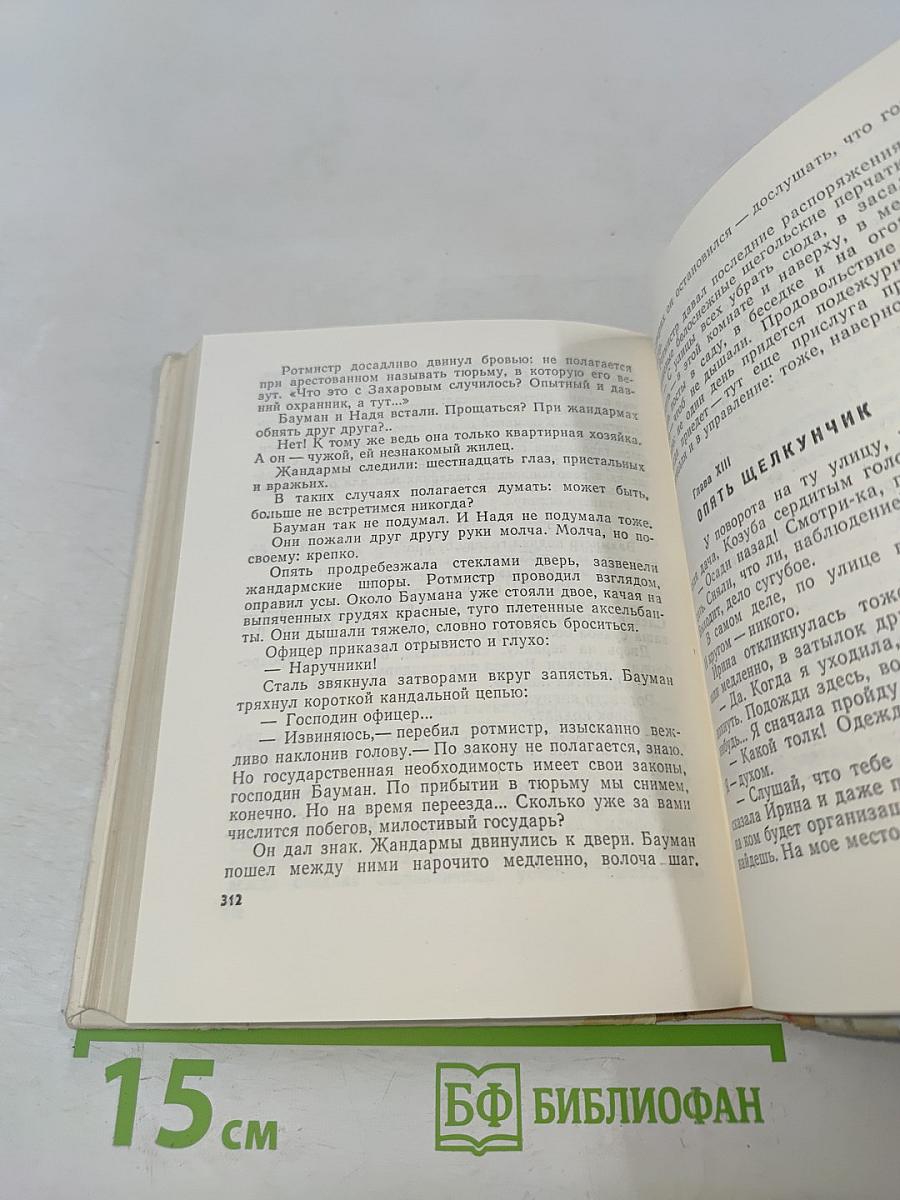 Грач — птица весенняя