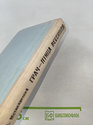 Грач — птица весенняя