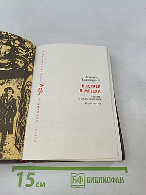 Выстрел в Метели