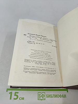 Выстрел в Метели
