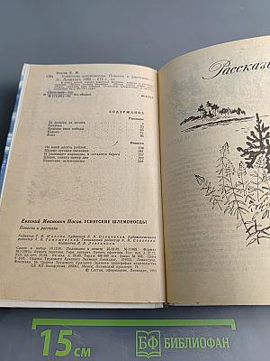 Усвятские шлемоносцы