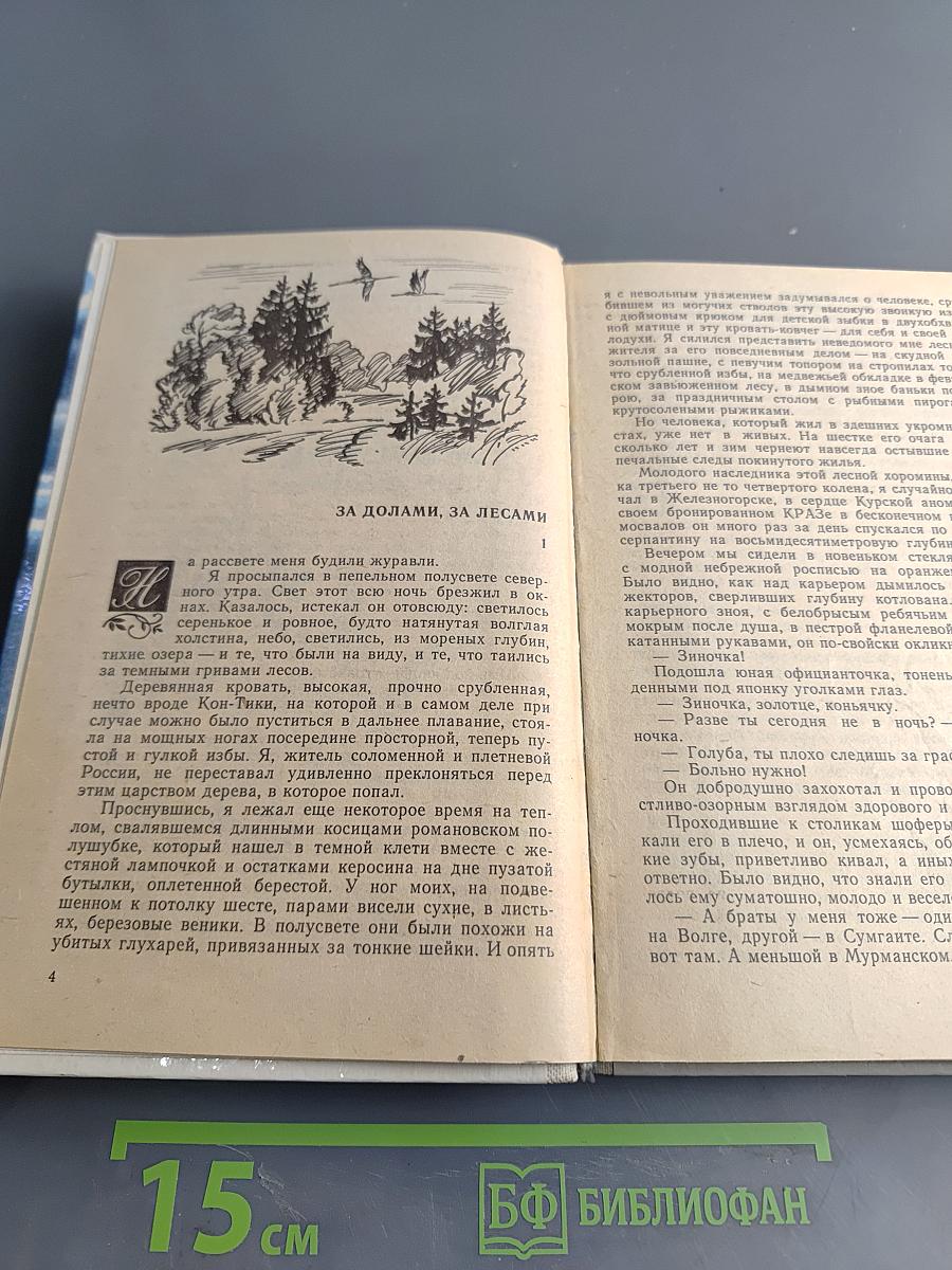 Усвятские шлемоносцы