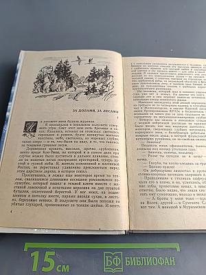 Усвятские шлемоносцы